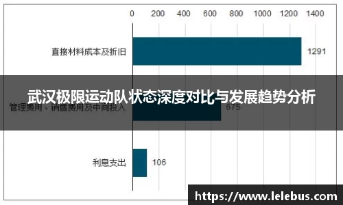武汉极限运动队状态深度对比与发展趋势分析