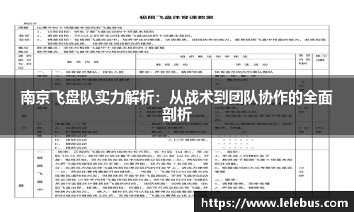 南京飞盘队实力解析：从战术到团队协作的全面剖析